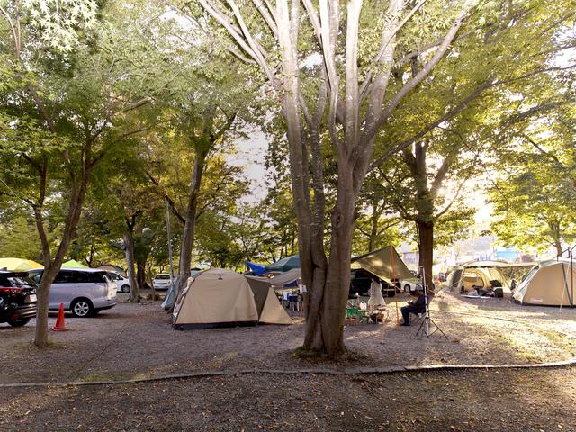 リバーパーク上長瀞オートキャンプ場の画像 1枚目