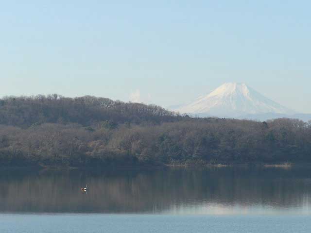 県立狭山自然公園