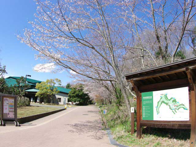 北本自然観察公園