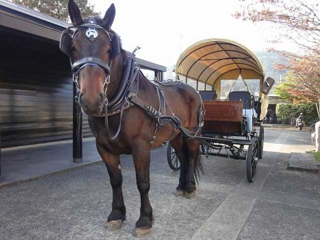 観光辻馬車の画像 2枚目