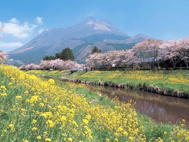 由布岳の画像 2枚目