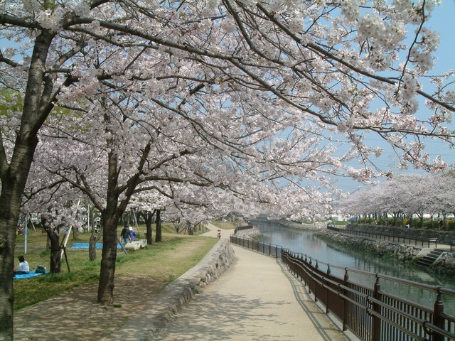 平和市民公園の画像 1枚目