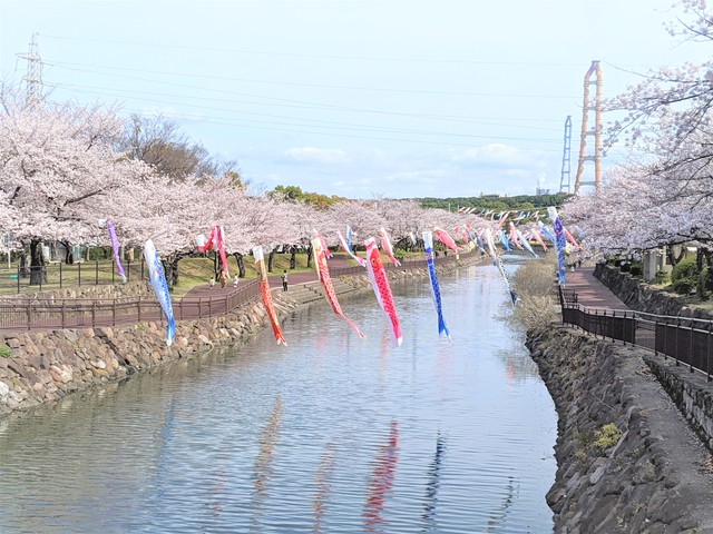 平和市民公園の画像 2枚目