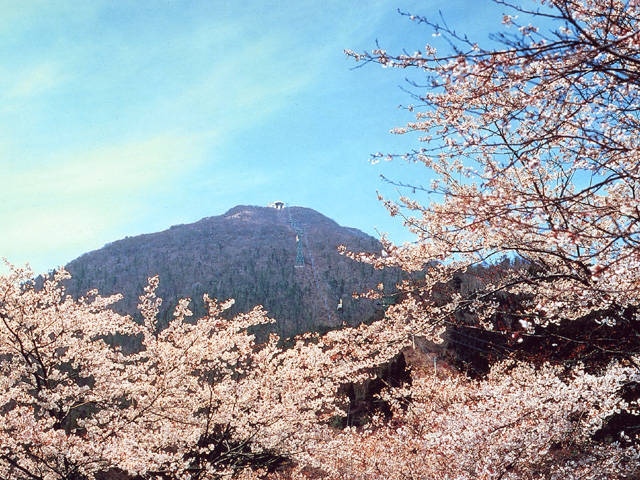 鶴見岳の画像 2枚目