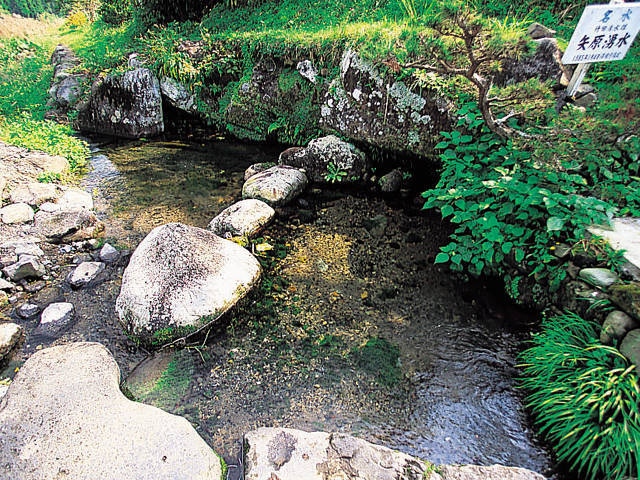 竹田湧水群の画像 3枚目