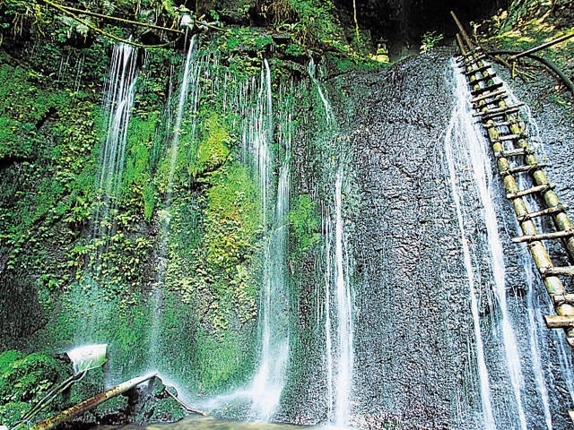 竹田湧水群の画像 4枚目