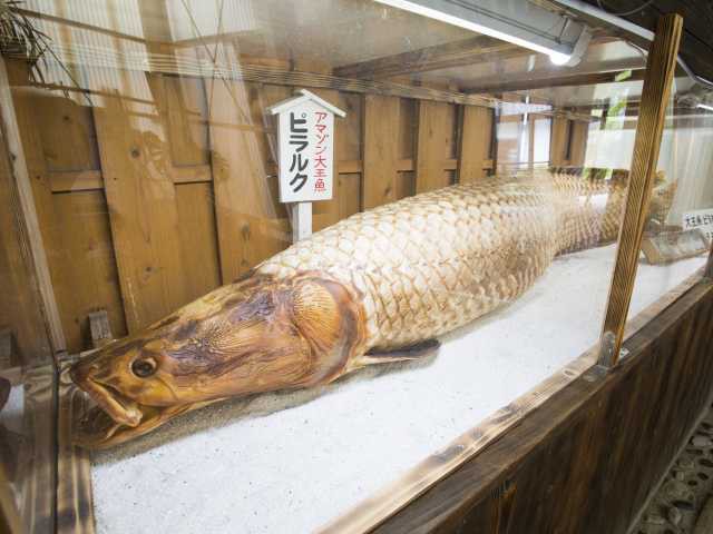 白池地獄