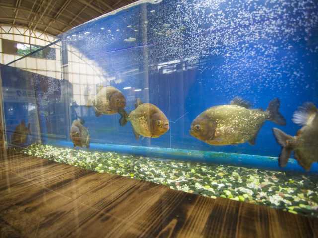 白池地獄