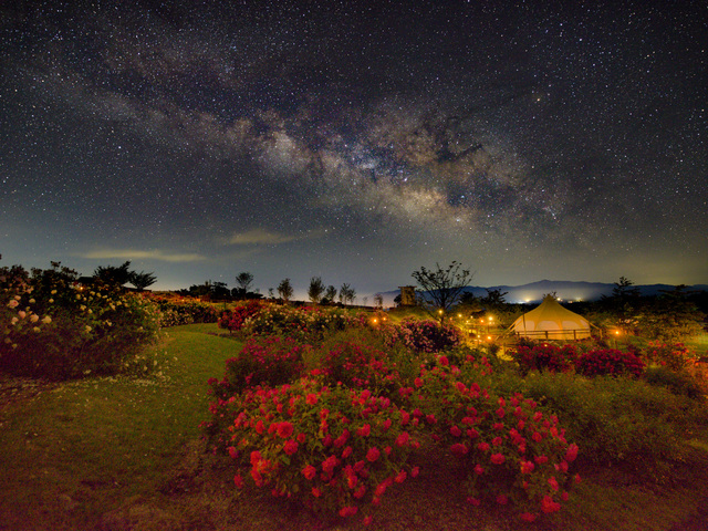くじゅう花公園グランピングパーク花と星の画像 2枚目