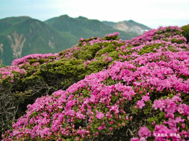 阿蘇くじゅう国立公園(大分県)の画像 1枚目