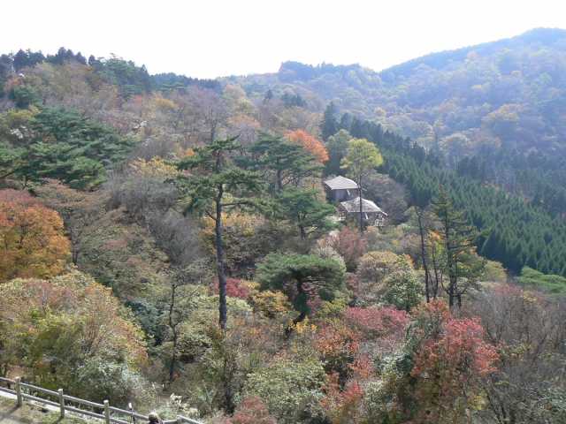 府民の森ちはや園地金剛山キャンプ場の画像 2枚目