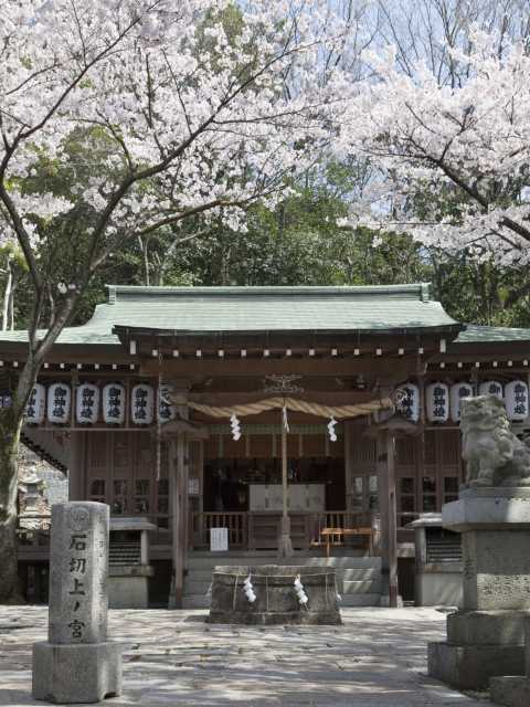 石切劔箭神社上之社の画像 4枚目