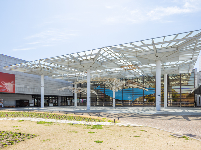 大阪市立自然史博物館の画像 1枚目