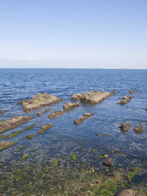 小島自然海浜の画像 3枚目