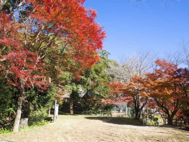 長野公園の紅葉