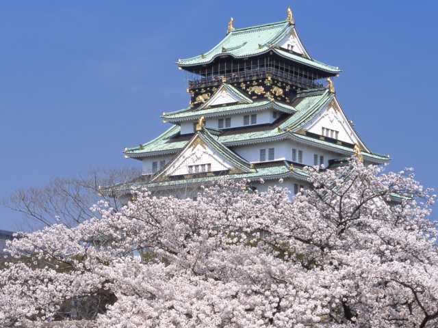 大阪城公園の桜の画像 1枚目