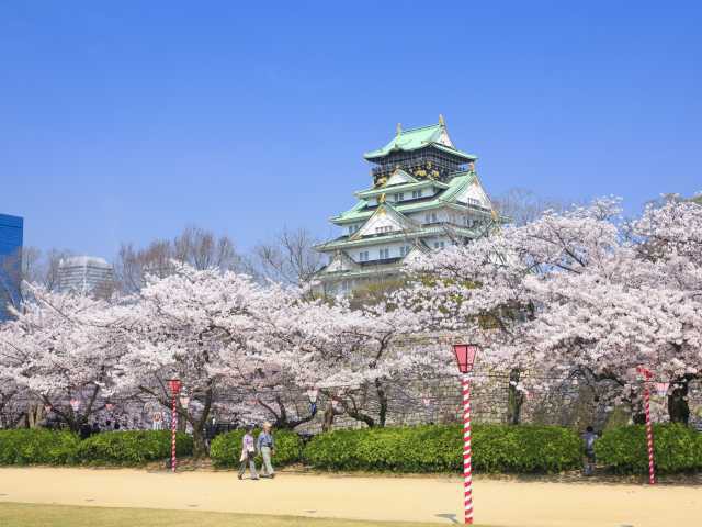 大阪城公園の桜の画像 2枚目