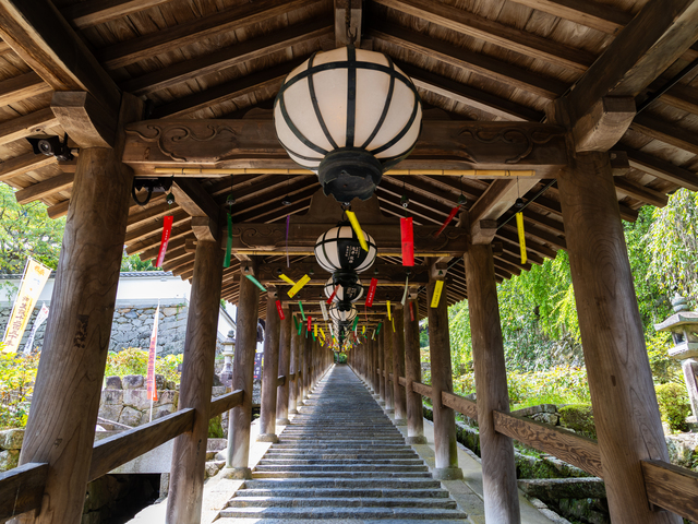 長谷寺の画像 2枚目