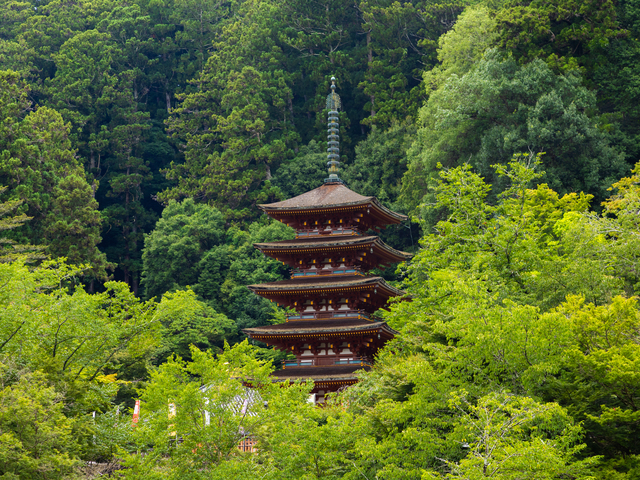 長谷寺の画像 3枚目