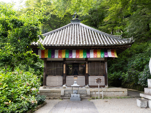 長谷寺の画像 4枚目