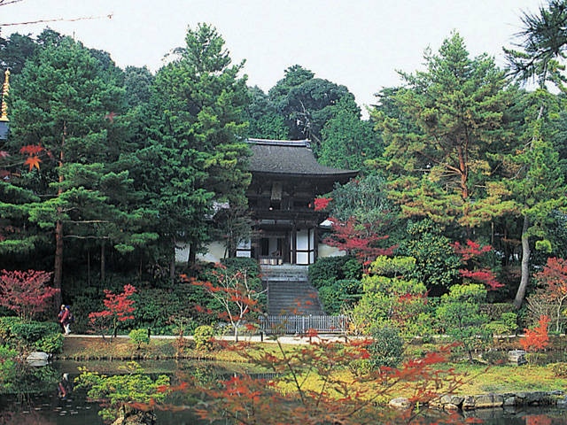 円成寺の画像 3枚目