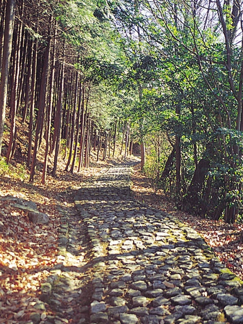 柳生街道の画像 3枚目