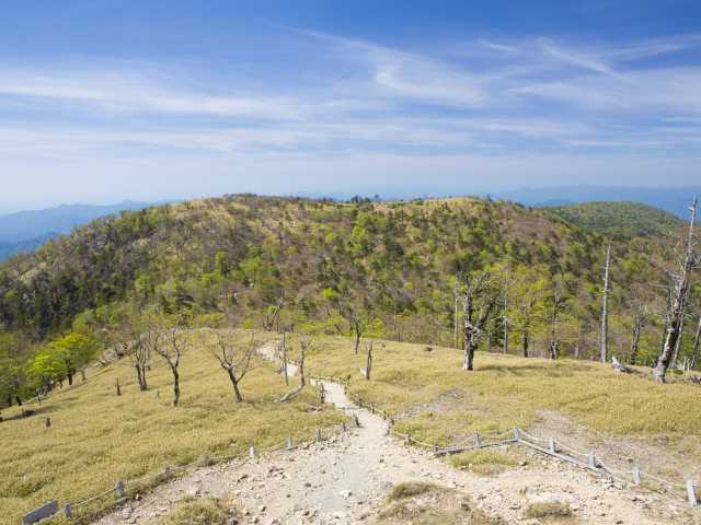 大台ヶ原山の画像 2枚目
