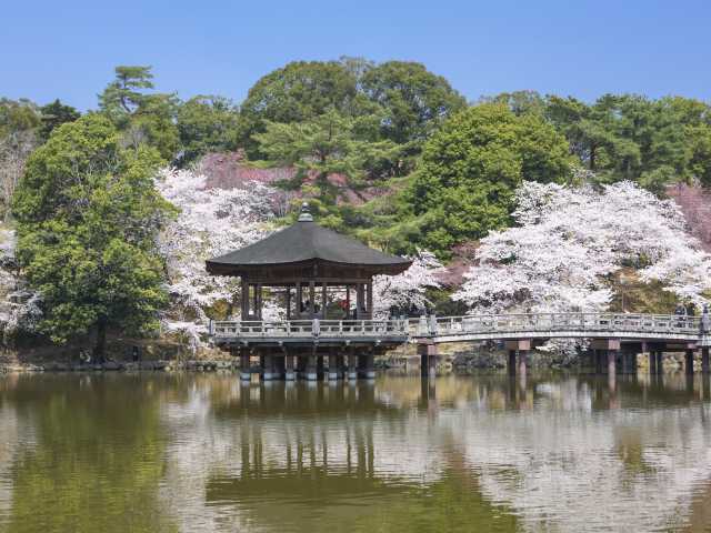 奈良公園の桜・紅葉