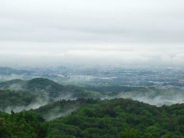高円山