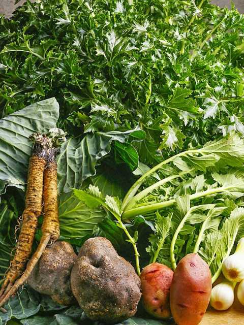 旬彩 ひよりの画像 4枚目