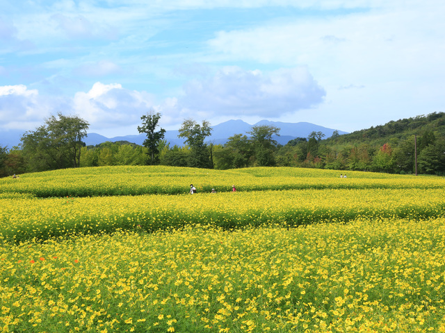 国営みちのく杜の湖畔公園の画像 4枚目