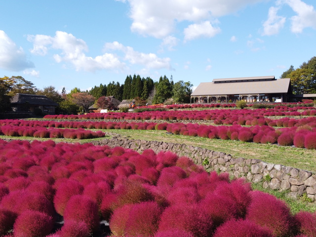 国営みちのく杜の湖畔公園の画像 1枚目