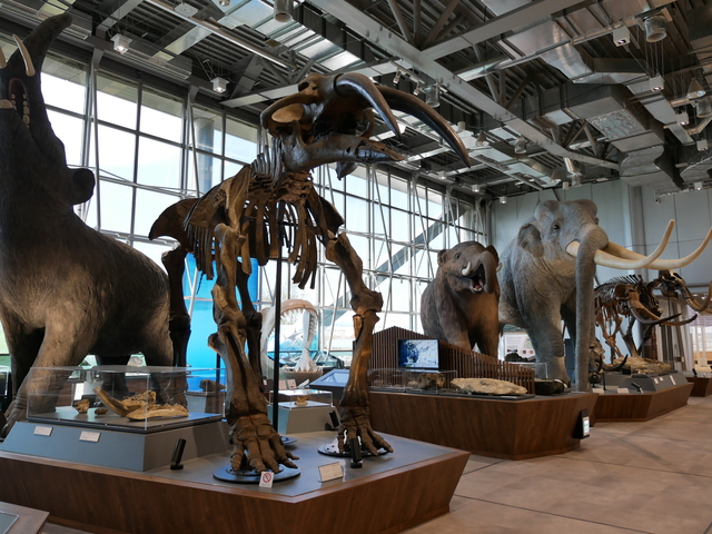 HOKUSHU仙台市科学館の画像 2枚目