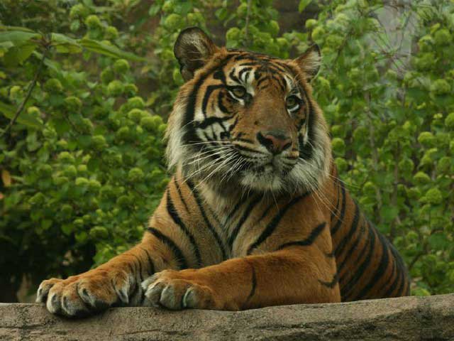 八木山動物公園フジサキの杜