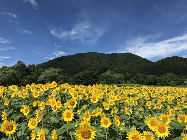 やくらいガーデンの画像 2枚目