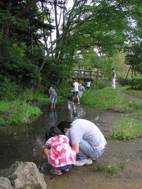 仙台市水の森公園キャンプ場