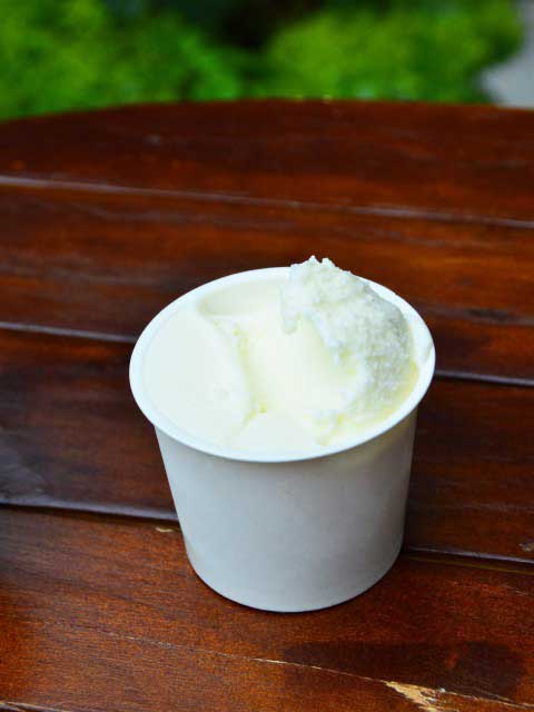 GELATI BRIOの画像 3枚目