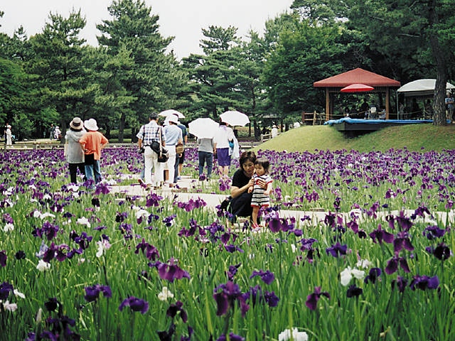 阿波岐原森林公園(市民の森)の画像 2枚目