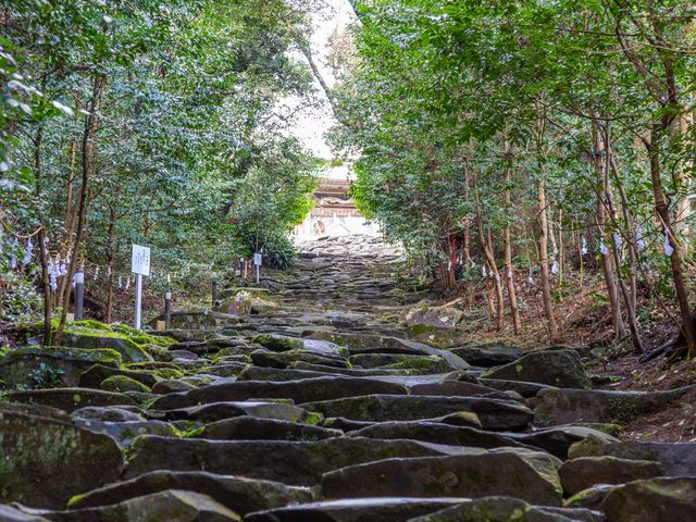 東霧島神社の画像 2枚目