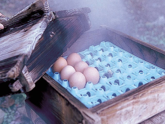 白鳥温泉上湯の画像 3枚目