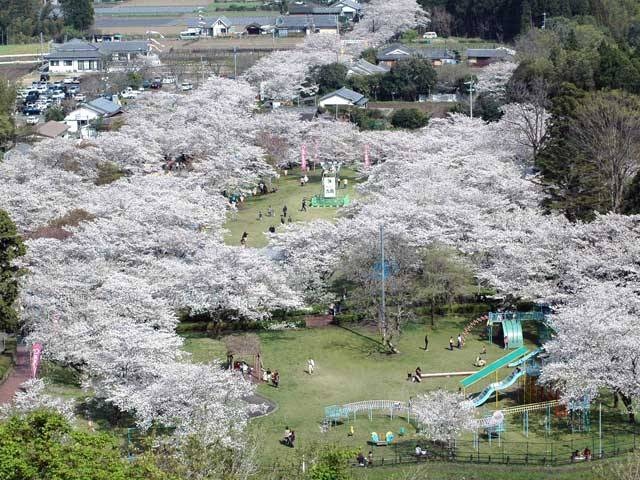 母智丘公園