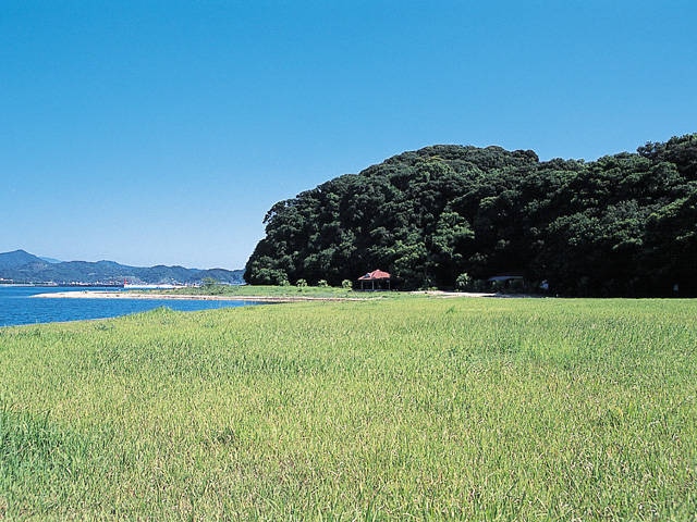 夢人島サバイバルアイランドキャンプ場乙島の画像 3枚目