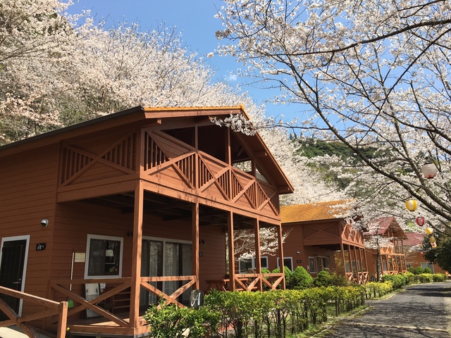 蜂之巣公園(キャンプ場)の画像 1枚目