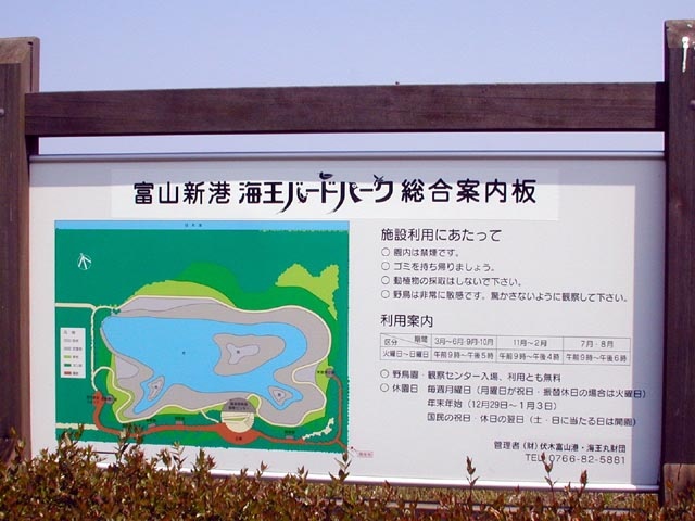 富山新港臨海野鳥園