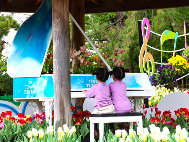 砺波チューリップ公園の画像 4枚目