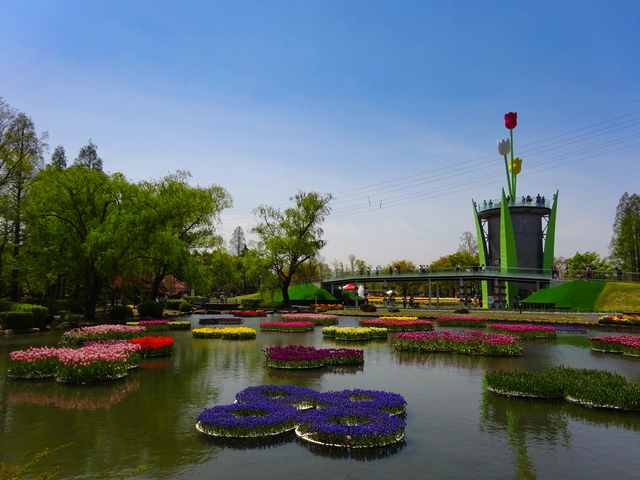 となみチューリップフェアの画像 3枚目