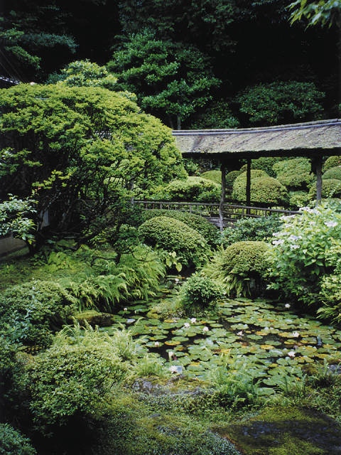 光久寺の茶庭