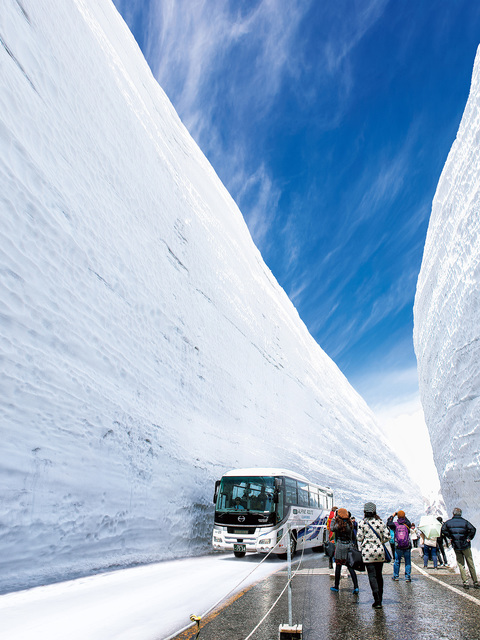 雪の大谷の画像 1枚目