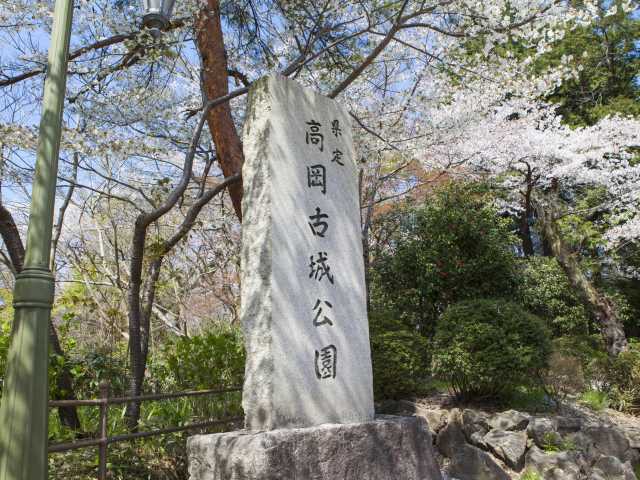 高岡古城公園の桜の画像 3枚目