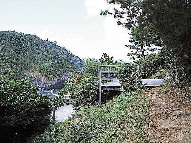 青海島キャンプ村の画像 3枚目